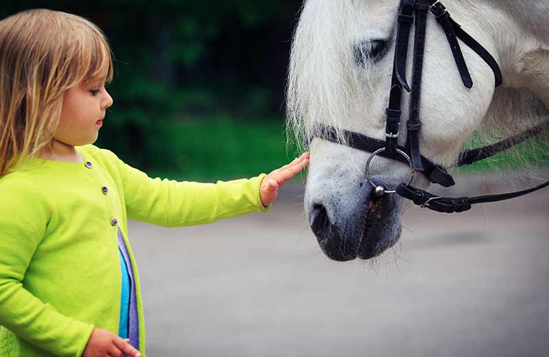Urlaub auf dem Bauernhof